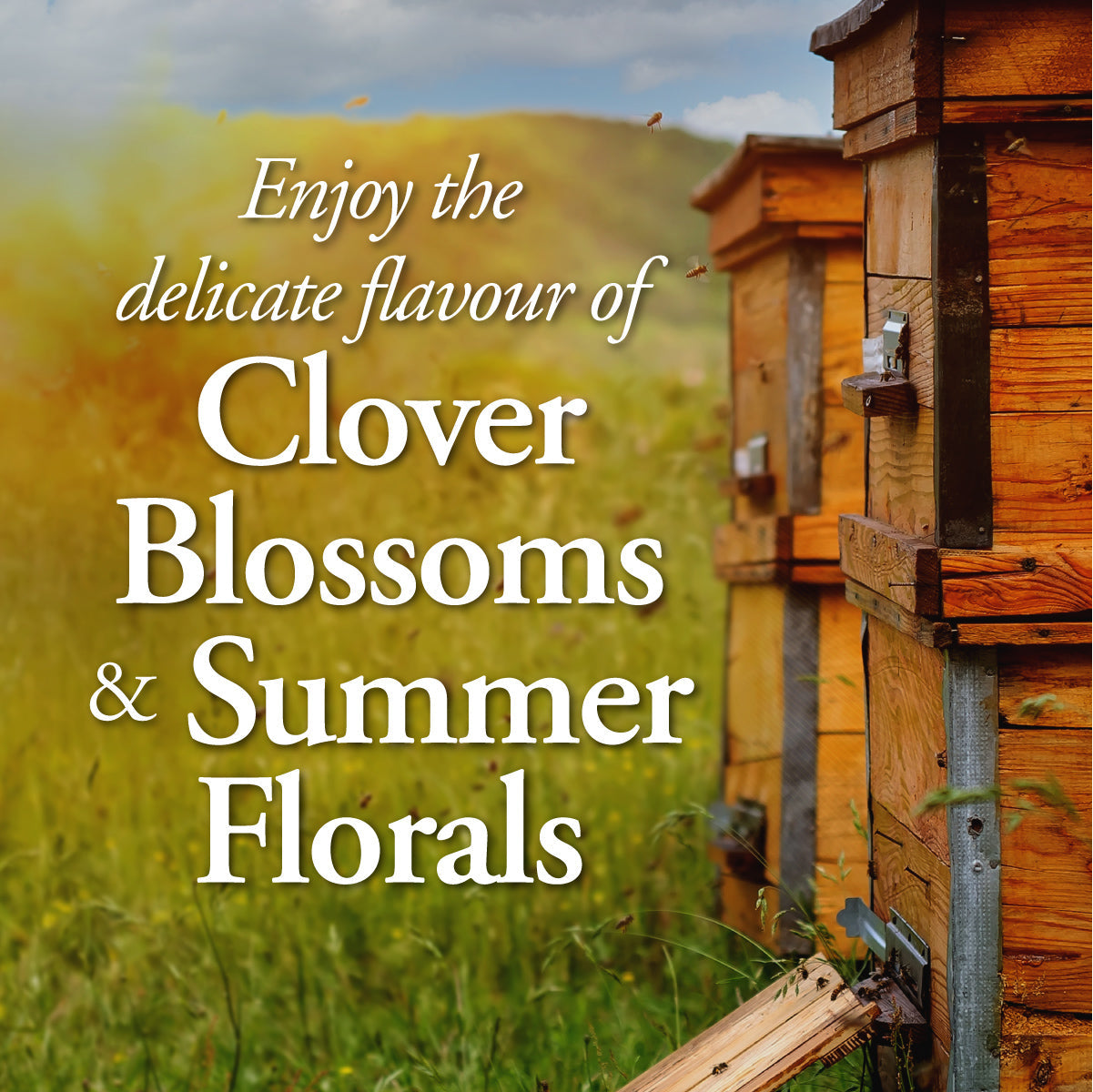 Summer Blossom Honey