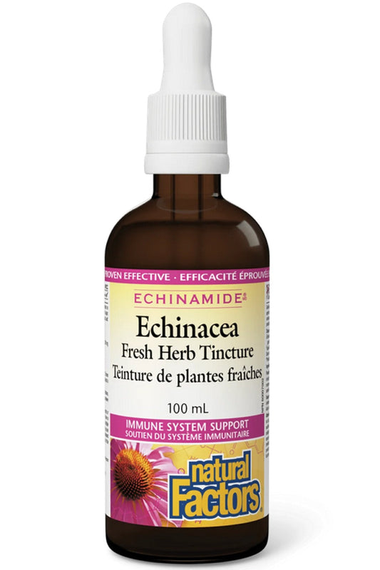 NATURAL FACTORS Echinamide Anti-Cold Tincture  (100 ml)